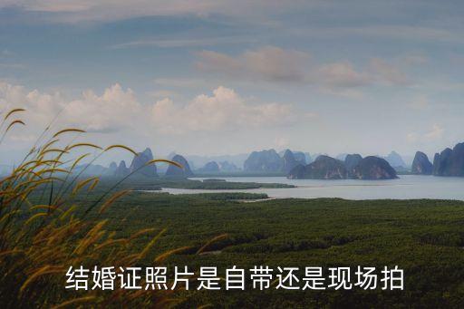 結婚證的照片