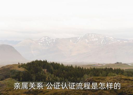 親屬關(guān)系公證