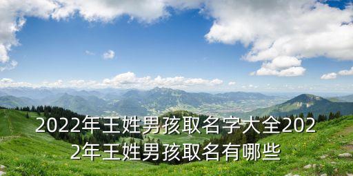2022年王姓男孩取名字大全2022年王姓男孩取名有哪些