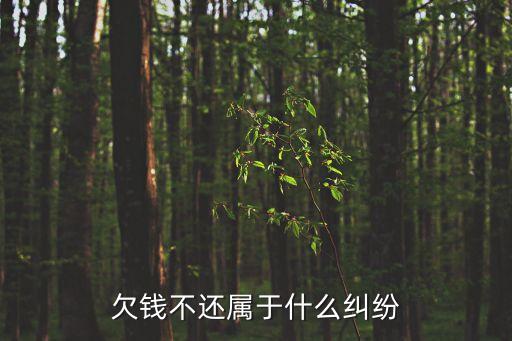 欠錢(qián)不還屬于什么糾紛