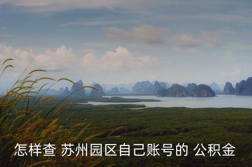 怎樣查 蘇州園區(qū)自己賬號(hào)的 公積金