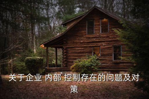 關(guān)于企業(yè) 內(nèi)部 控制存在的問題及對(duì)策