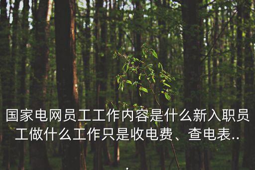 國(guó)家電網(wǎng)員工工作內(nèi)容是什么新入職員工做什么工作只是收電費(fèi)、查電表...
