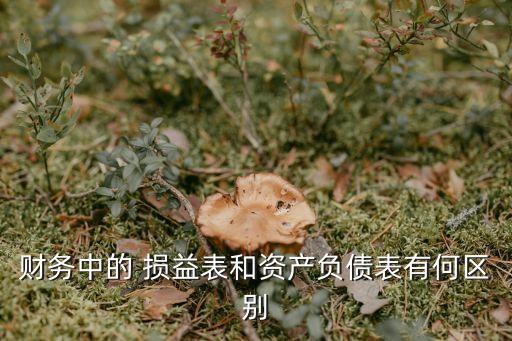 財務(wù)中的 損益表和資產(chǎn)負(fù)債表有何區(qū)別