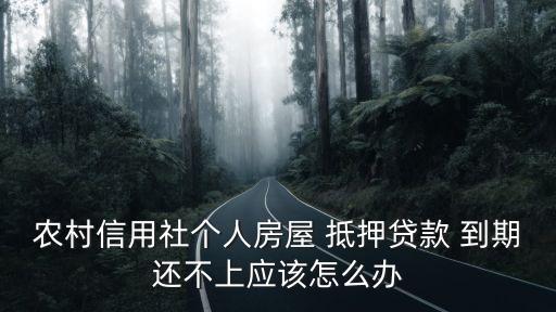 農(nóng)村信用社個(gè)人房屋 抵押貸款 到期還不上應(yīng)該怎么辦