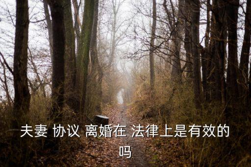 離婚協(xié)議無(wú)效的法律規(guī)定