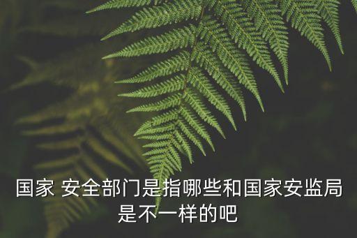 國(guó)家 安全部門(mén)是指哪些和國(guó)家安監(jiān)局是不一樣的吧