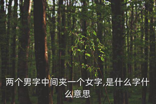兩個(gè)男字中間夾一個(gè)女字,是什么字什么意思
