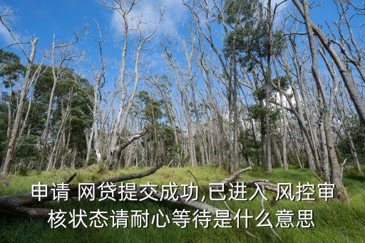 申請 網(wǎng)貸提交成功,已進(jìn)入 風(fēng)控審核狀態(tài)請耐心等待是什么意思