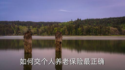 如何交個人養(yǎng)老保險最正確