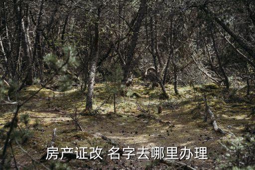 改名字在哪里改,金鏟鏟改名字在哪里改