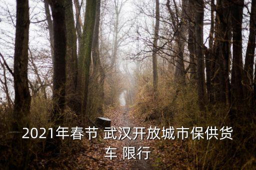2021年春節(jié) 武漢開放城市保供貨車 限行