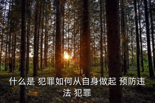 犯罪預(yù)防