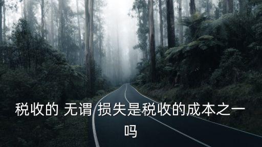 稅收的 無謂 損失是稅收的成本之一嗎