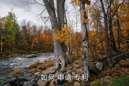 專利怎么申請(qǐng),實(shí)用新型專利怎么申請(qǐng)