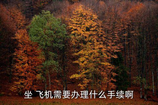 坐 飛機(jī)需要辦理什么手續(xù)啊