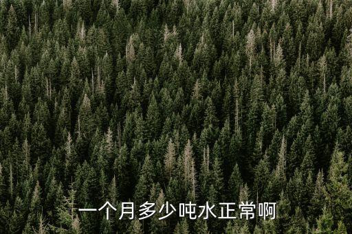  一個月多少噸水正常啊