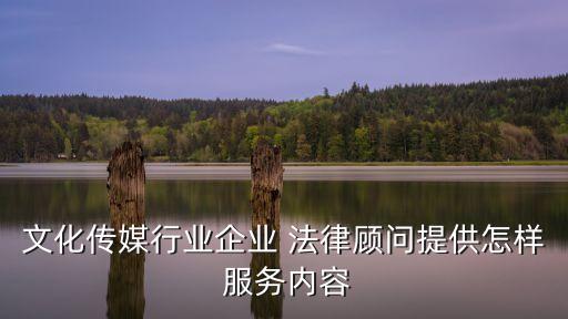 法律咨詢服務方案怎么寫,教育咨詢服務工作內容怎么寫