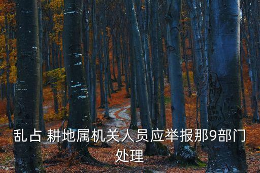 亂占耕地