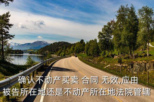  確認不動產(chǎn)買賣 合同 無效,應(yīng)由被告所在地還是不動產(chǎn)所在地法院管轄