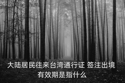 大陸居民往來臺(tái)灣通行證 簽注出境 有效期是指什么