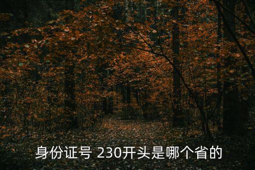 身份證230