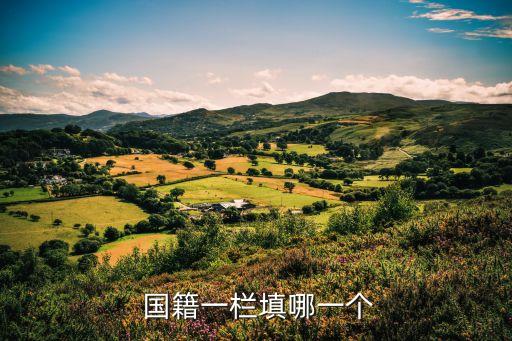  國(guó)籍一欄填哪一個(gè)