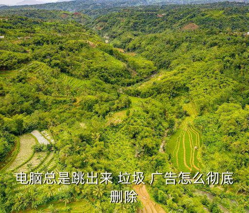 電腦總是跳出來 垃圾 廣告怎么徹底刪除