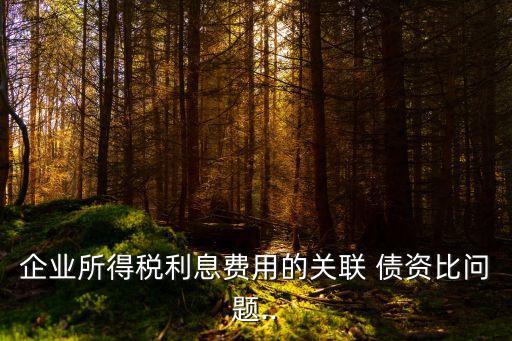 企業(yè)所得稅利息費(fèi)用的關(guān)聯(lián) 債資比問題..