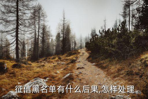 征信黑了怎么辦,網(wǎng)貸逾期導(dǎo)致征信黑了怎么辦
