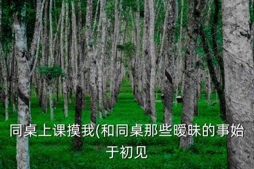 同桌上課摸我(和同桌那些曖昧的事始于初見