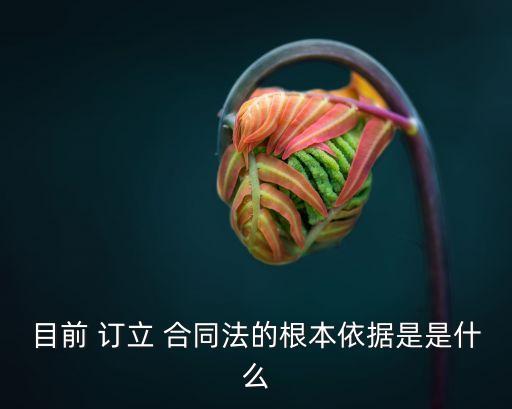 目前 訂立 合同法的根本依據(jù)是是什么
