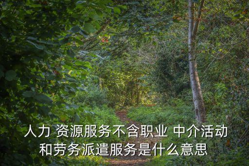  人力 資源服務(wù)不含職業(yè) 中介活動和勞務(wù)派遣服務(wù)是什么意思