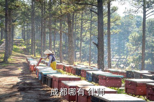  成都哪有 律師