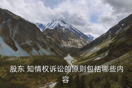  股東 知情權(quán)訴訟的原則包括哪些內(nèi)容