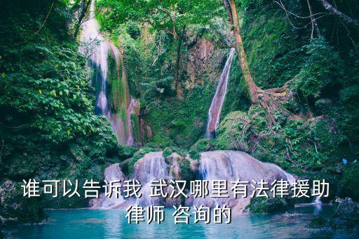 誰(shuí)可以告訴我 武漢哪里有法律援助 律師 咨詢(xún)的