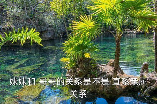 哥哥算直系親屬嗎,爺爺?shù)母绺缢阒毕涤H屬嗎