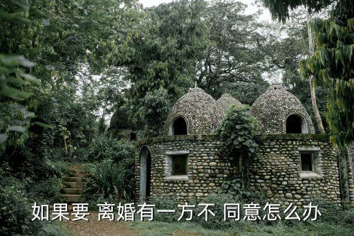 如果要 離婚有一方不 同意怎么辦