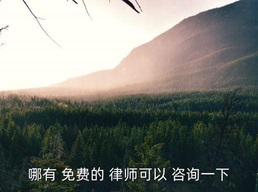 哪有 免費(fèi)的 律師可以 咨詢一下