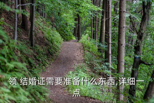 領(lǐng) 結(jié)婚證需要準(zhǔn)備什么東西,詳細(xì)一點(diǎn)
