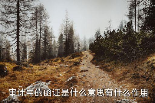 審計(jì)詢證函