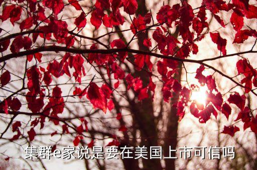  集群e家說是要在美國上市可信嗎