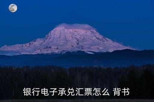 銀行電子承兌匯票怎么 背書(shū)