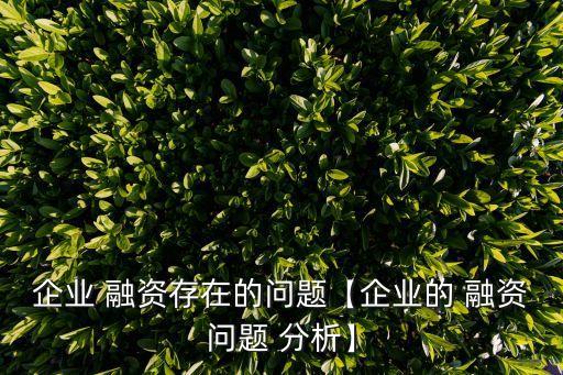 企業(yè) 融資存在的問題【企業(yè)的 融資問題 分析】