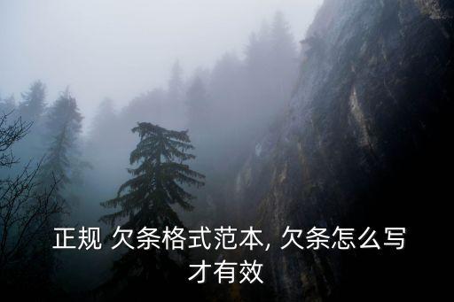  正規(guī) 欠條格式范本, 欠條怎么寫才有效