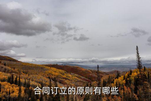  合同訂立的原則有哪些