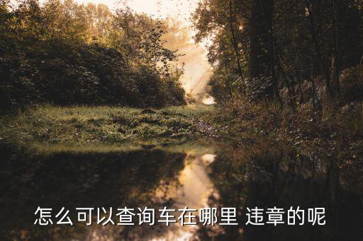 在哪里查車輛違章