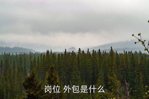 崗位 外包是什么