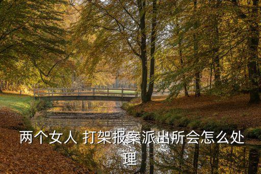  兩個女人 打架報案派出所會怎么處理