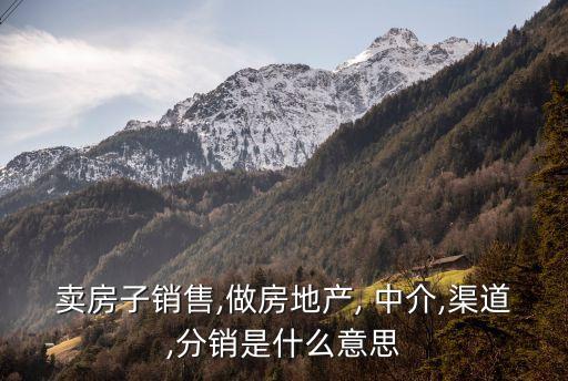 中介是什么意思,左氧氟沙星中介是什么意思